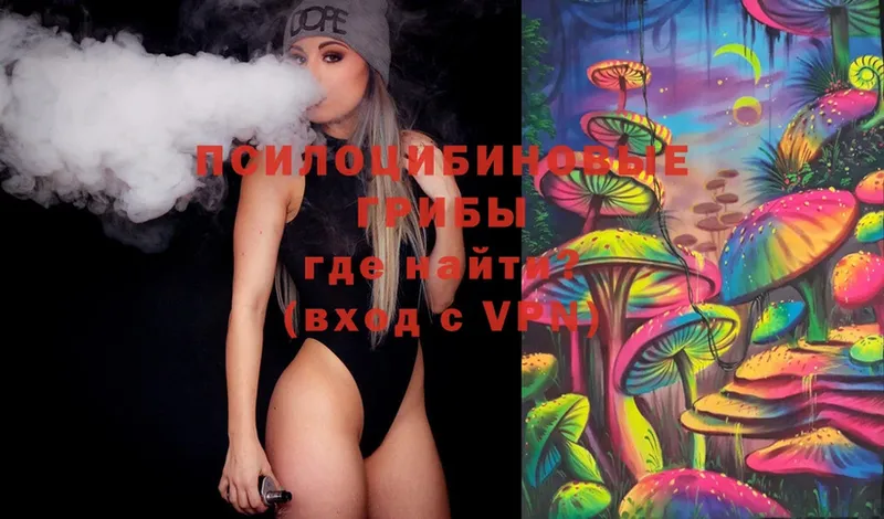 Псилоцибиновые грибы Psilocybe  Карпинск 